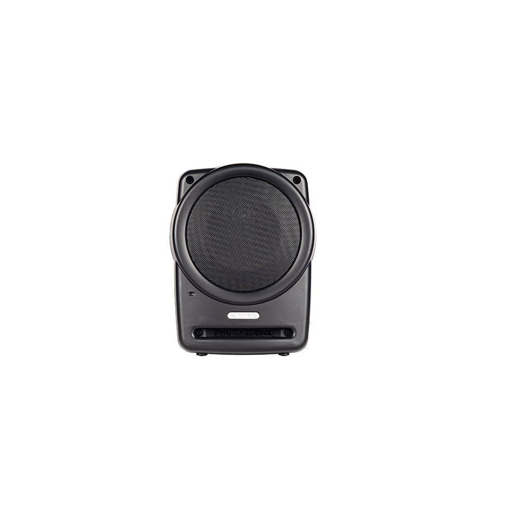 RA5 II Full-range active monitoring speaker system