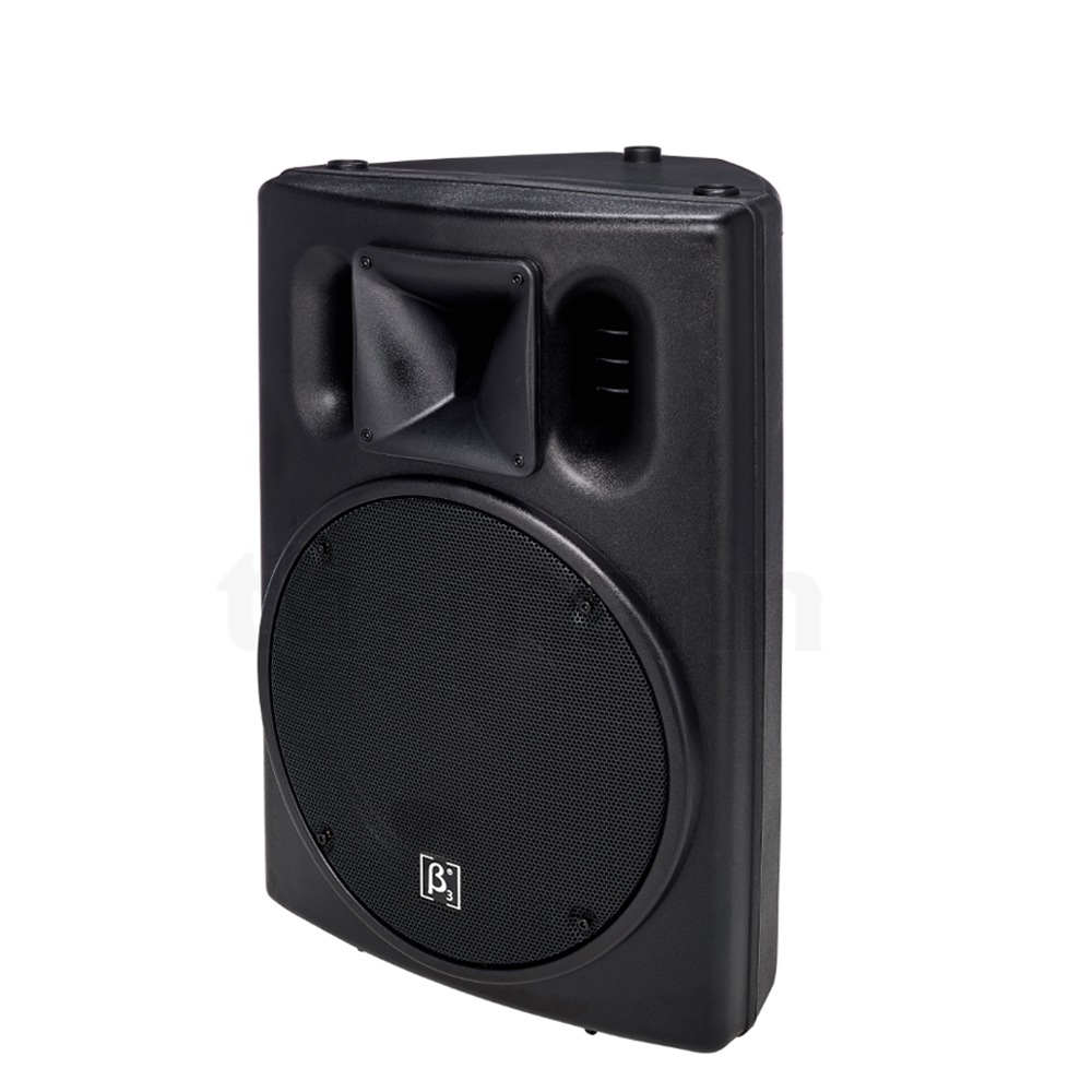 CTM1000S 10" Two-way Full Range Active Speaker