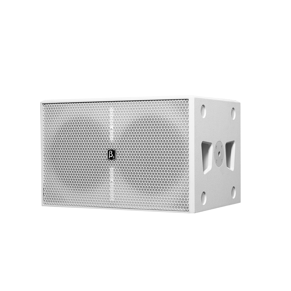 EX212Ba 12" Compact Active Low Frequency Speaker