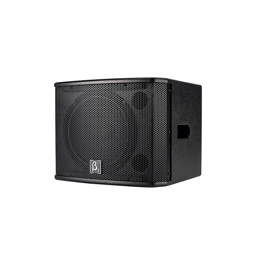 SUB110P 10" inch active low-frequency speaker