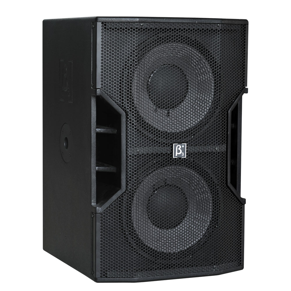 T212B Dual 12" LF wooden speaker