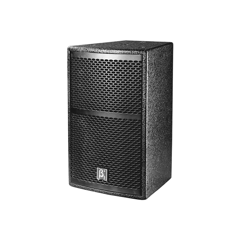 X10i 10" Two-Way Full Range Speaker